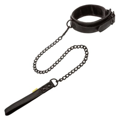 Calexotics Boundless Collar with Leash Set In Black