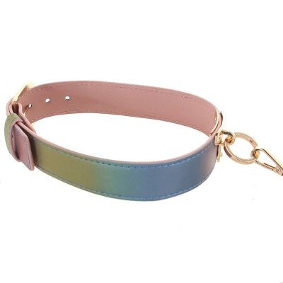 Spectra Couples Bondage Collar & Leash Set In Rainbow